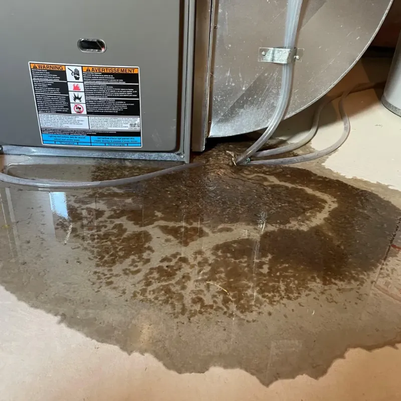 Appliance Leak Cleanup in Murfreesboro, NC